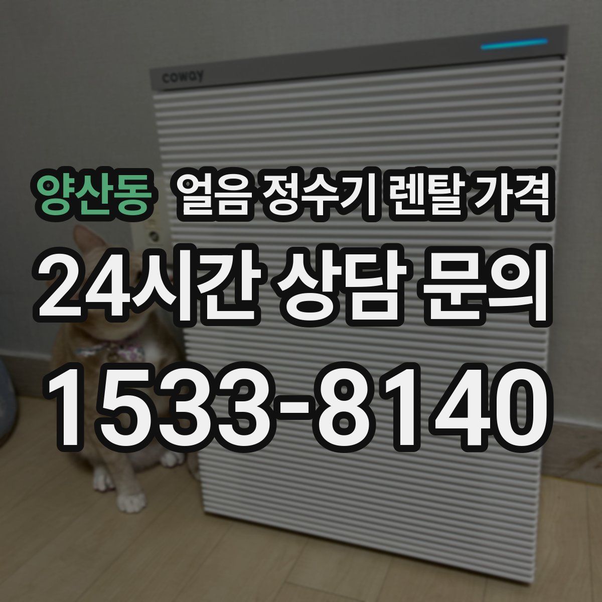 양산동 얼음 정수기 렌탈 가격