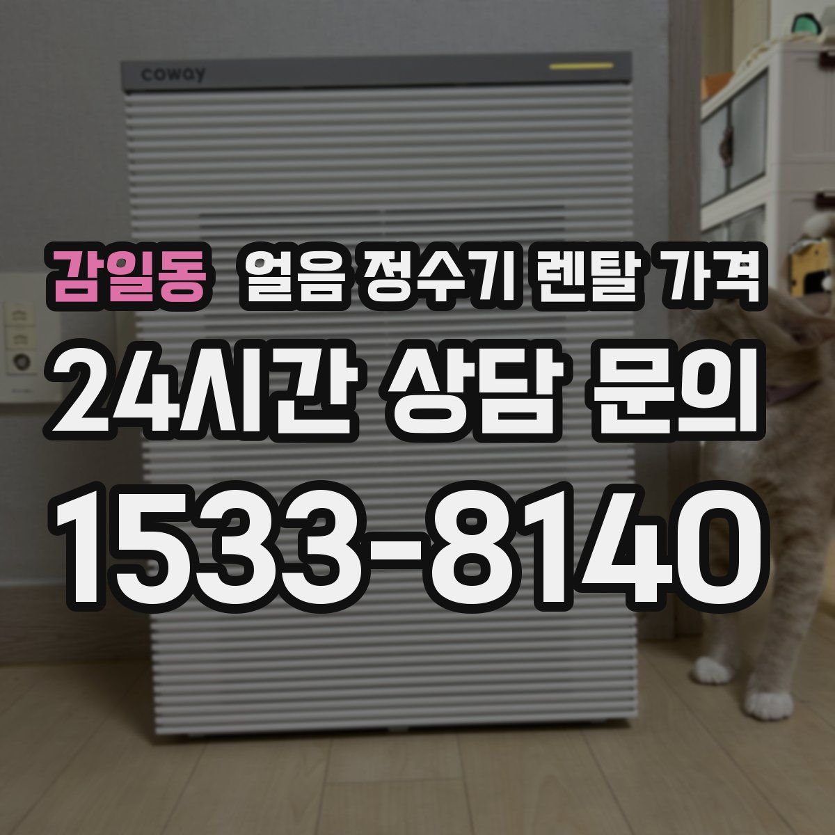 감일동 얼음 정수기 렌탈 가격