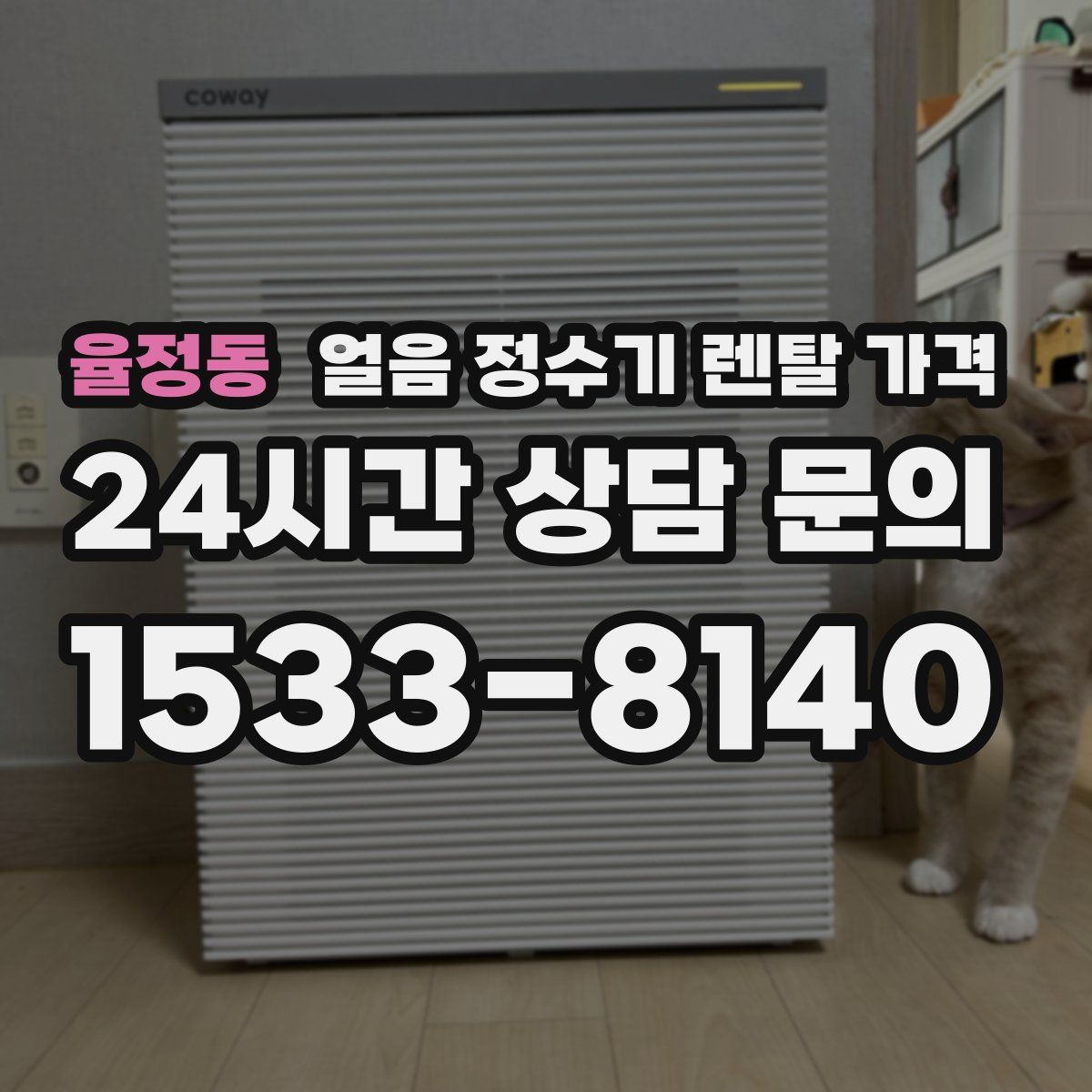 율정동 얼음 정수기 렌탈 가격