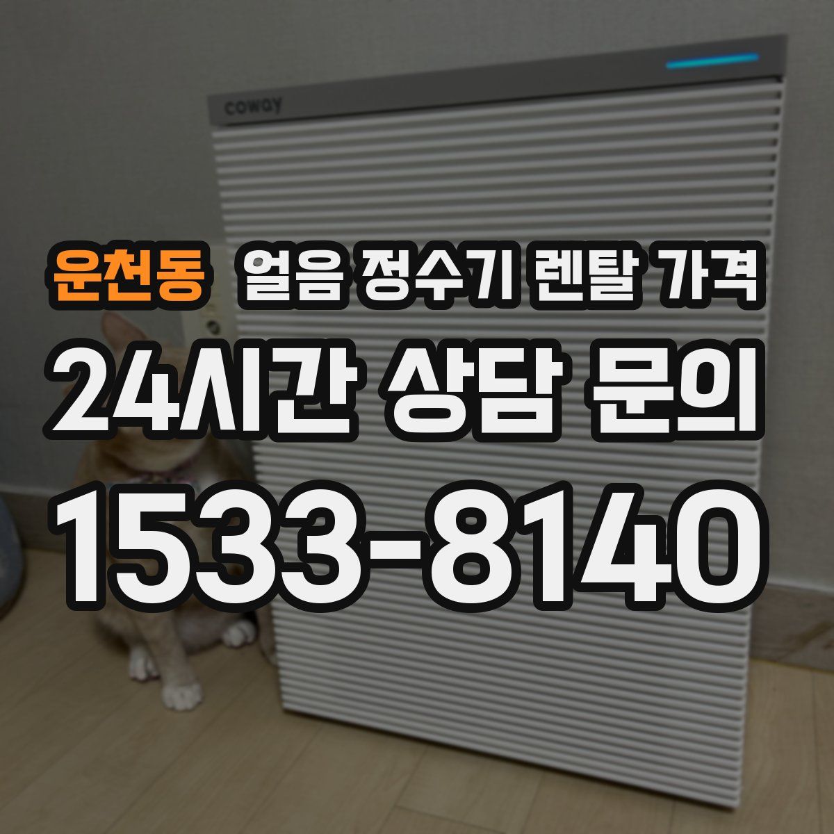 운천동 얼음 정수기 렌탈 가격