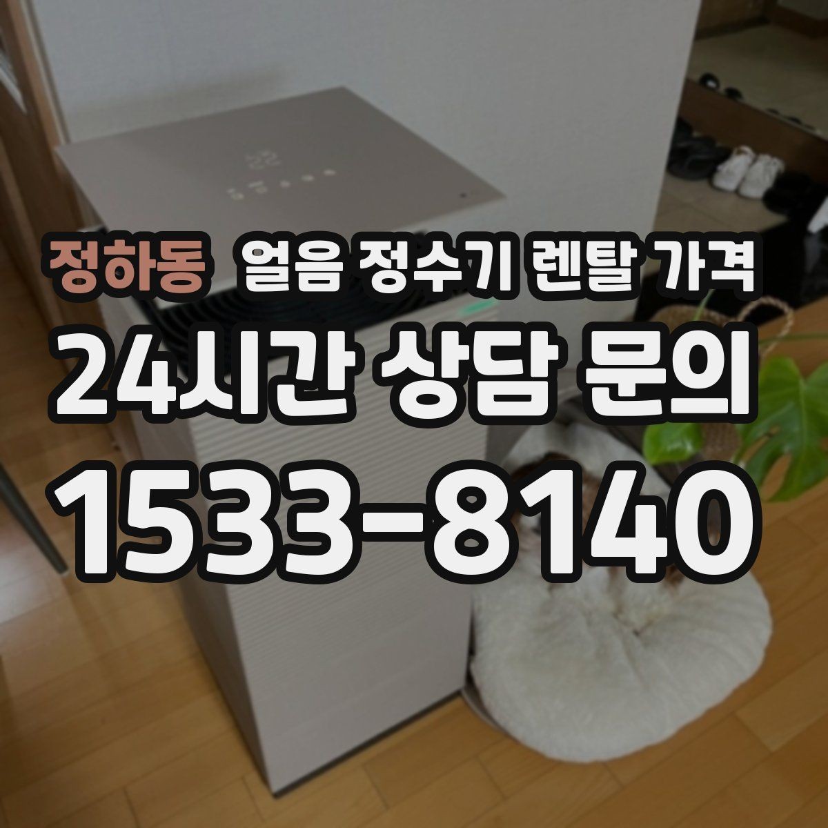정하동 얼음 정수기 렌탈 가격 왜 이렇게 차이가 나는지 핵심만 정리