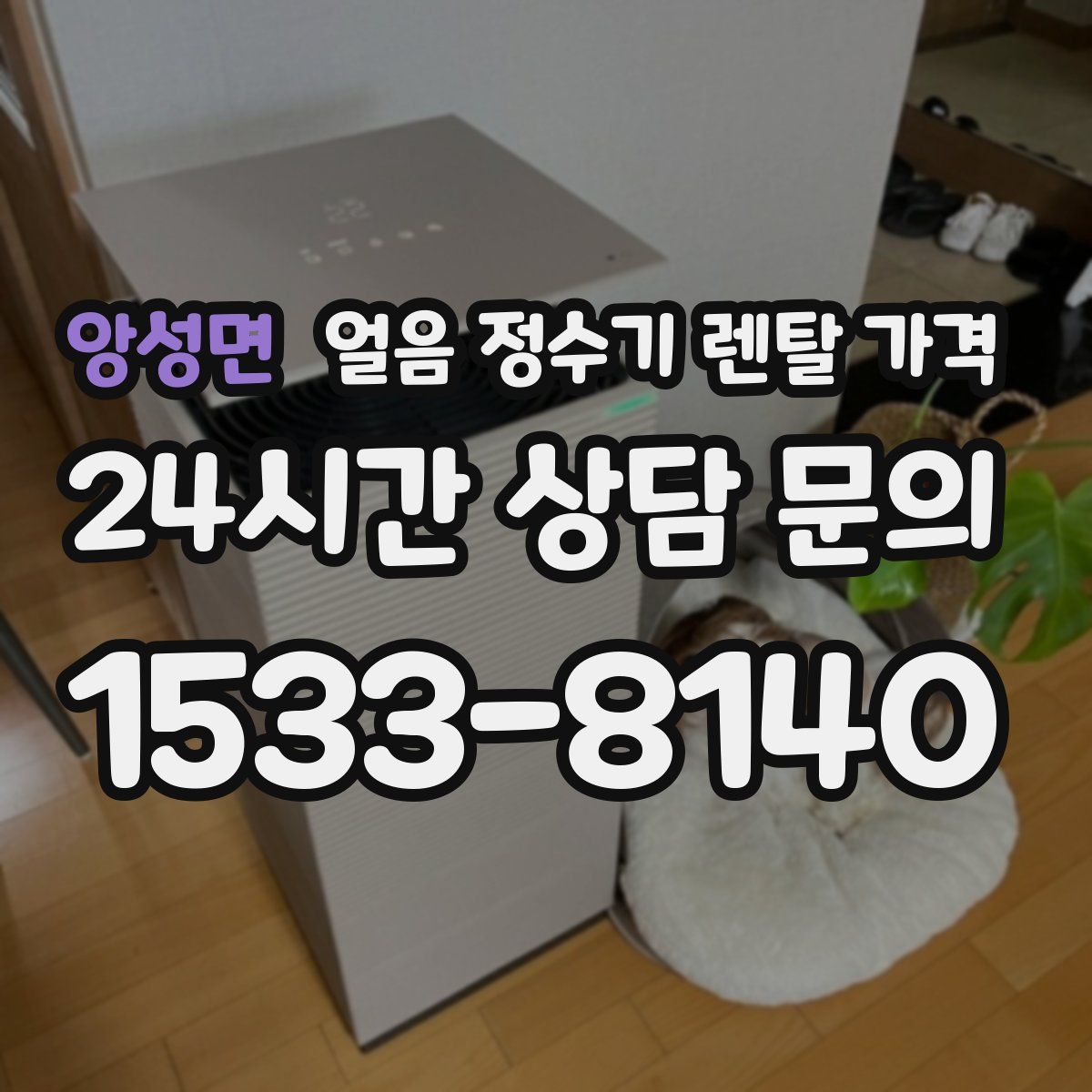 앙성면 얼음 정수기 렌탈 가격