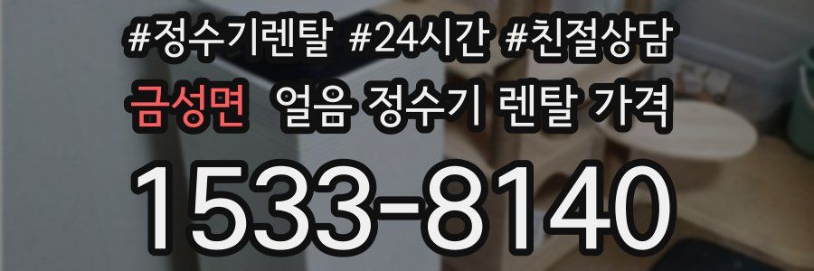 금성면 얼음 정수기 렌탈 가격