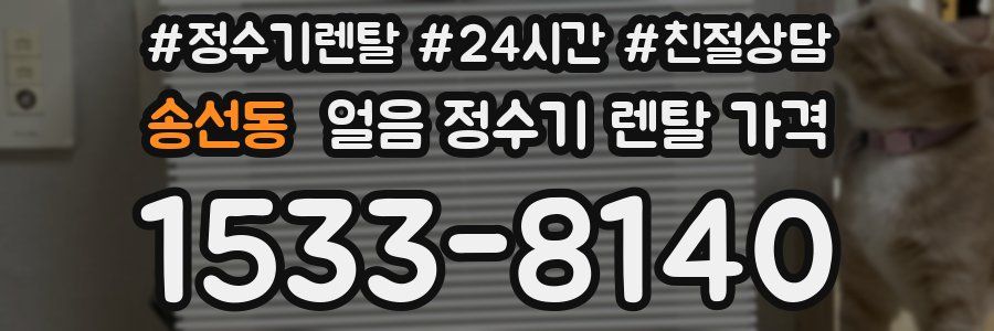 송선동 얼음 정수기 렌탈 가격