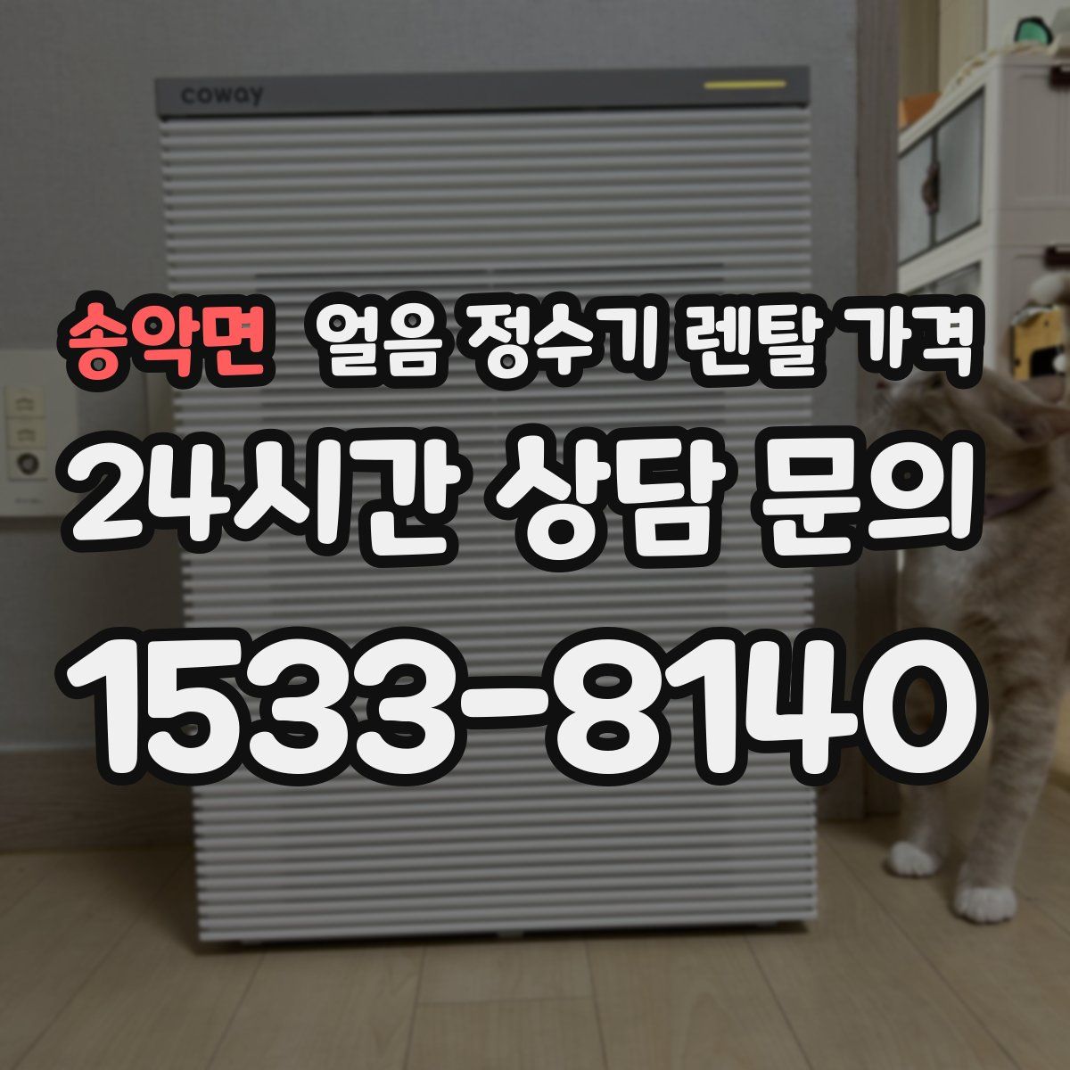 송악면 얼음 정수기 렌탈 가격