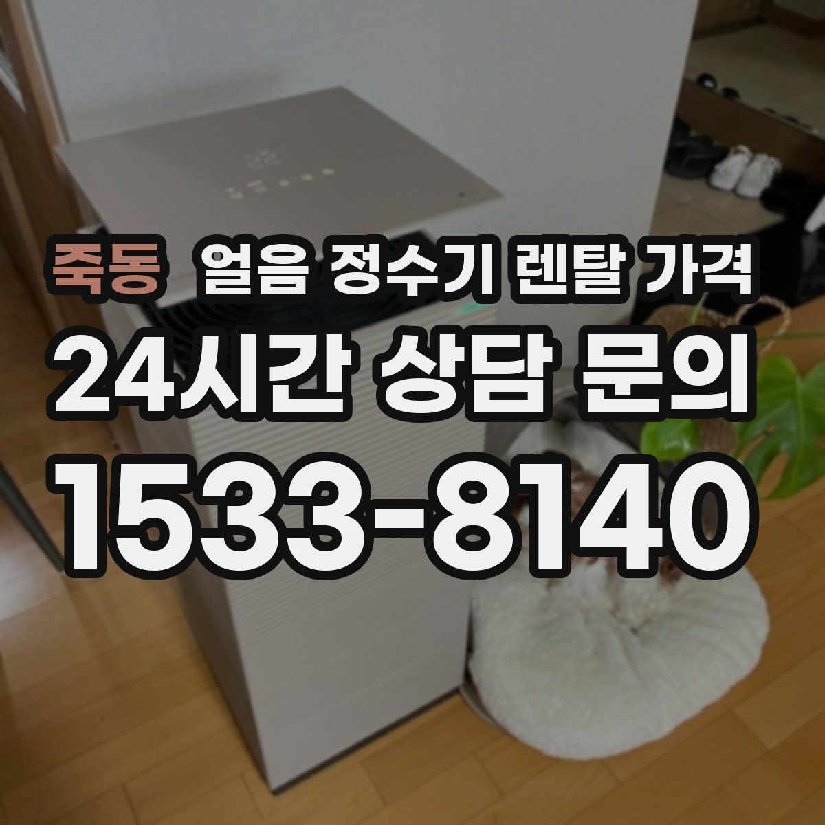 죽동 얼음 정수기 렌탈 가격