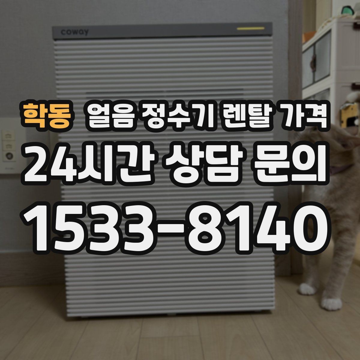 학동 얼음 정수기 렌탈 가격 복잡한 조건 쉽게 정리하는 방법