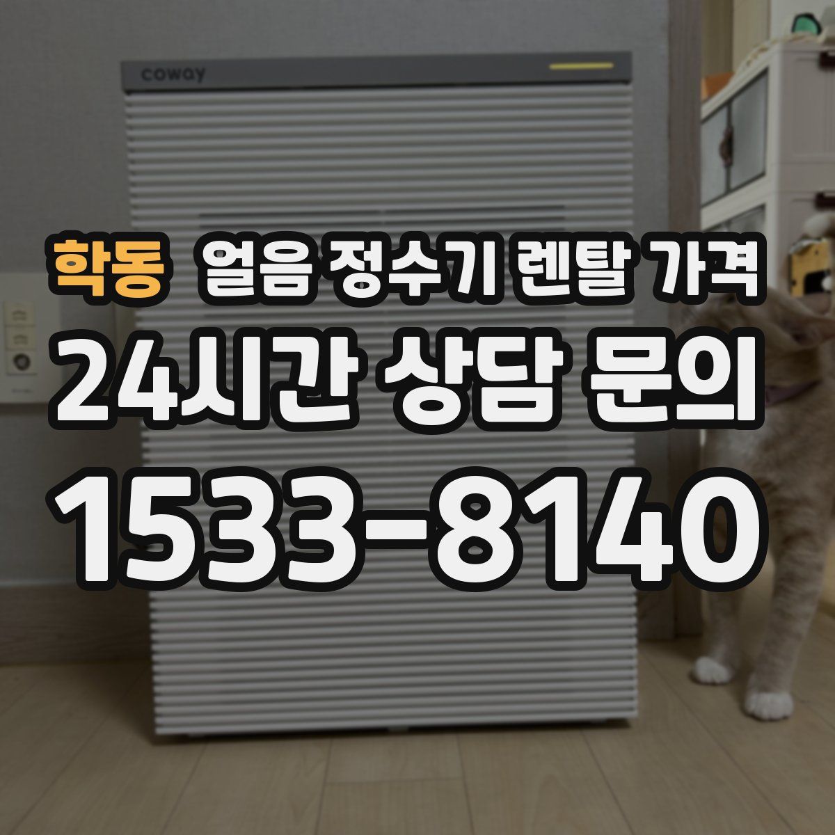 학동 얼음 정수기 렌탈 가격