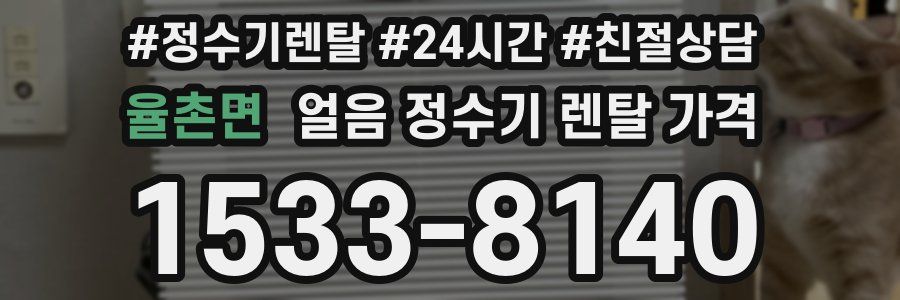 율촌면 얼음 정수기 렌탈 가격