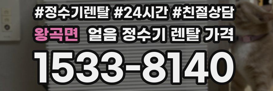 왕곡면 얼음 정수기 렌탈 가격