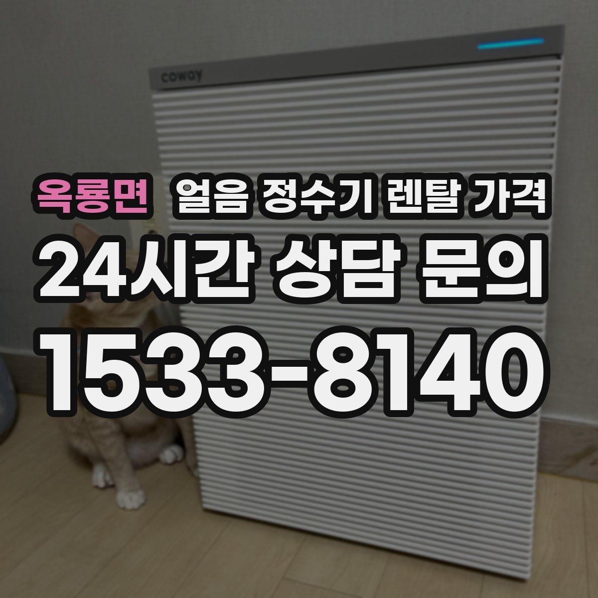 옥룡면 얼음 정수기 렌탈 가격 내부 세척 기능을 확인해야 하는 이유