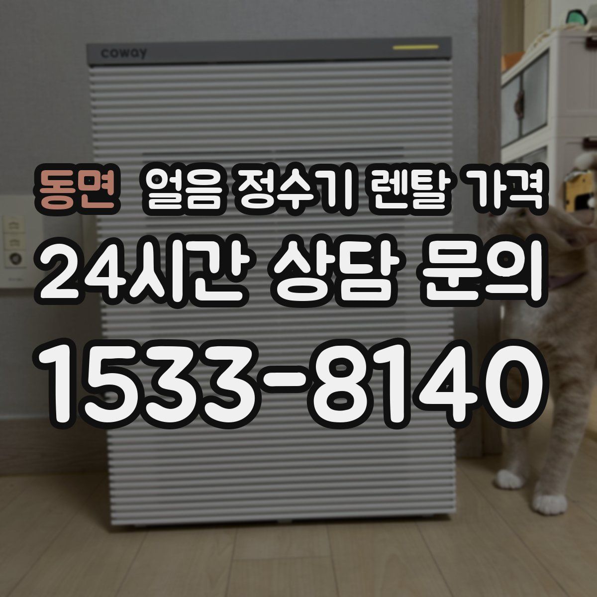 동면 얼음 정수기 렌탈 가격