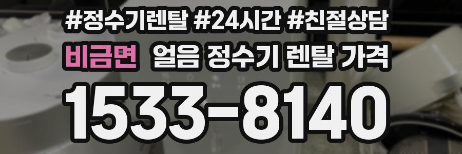 비금면 얼음 정수기 렌탈 가격