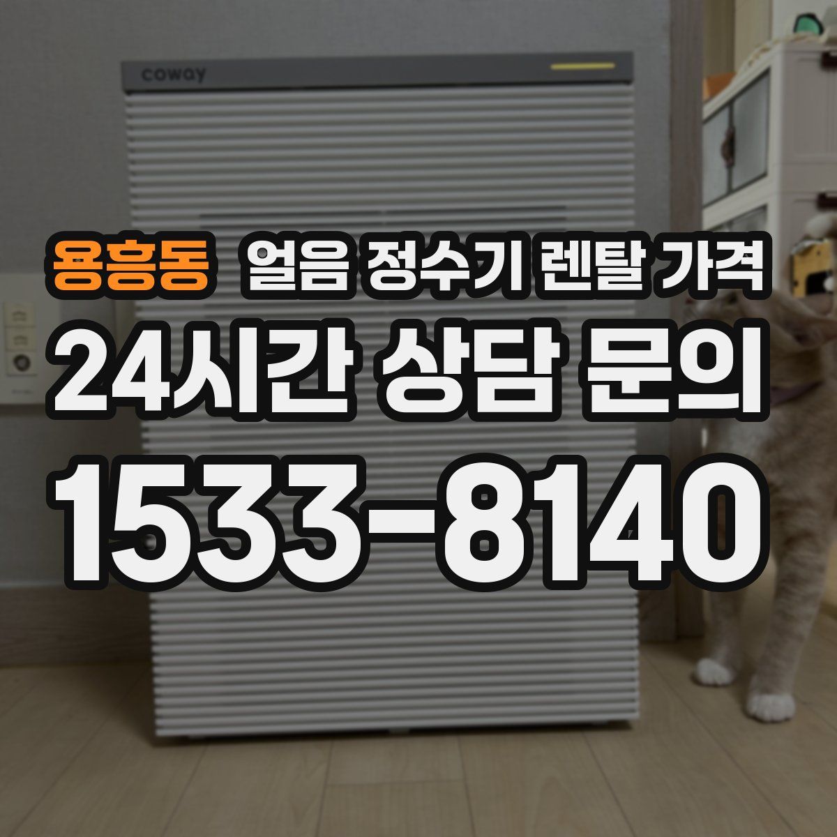 용흥동 얼음 정수기 렌탈 가격