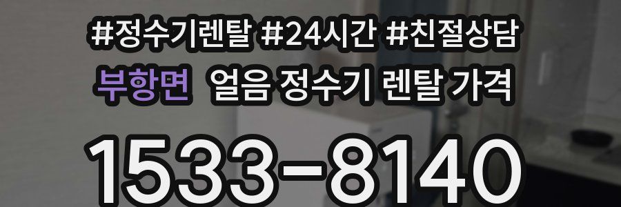 부항면 얼음 정수기 렌탈 가격