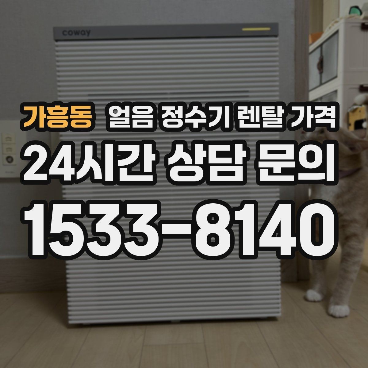가흥동 얼음 정수기 렌탈 가격 렌탈이 더 유리한 상황 정리