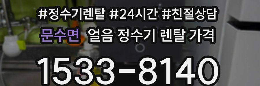 문수면 얼음 정수기 렌탈 가격