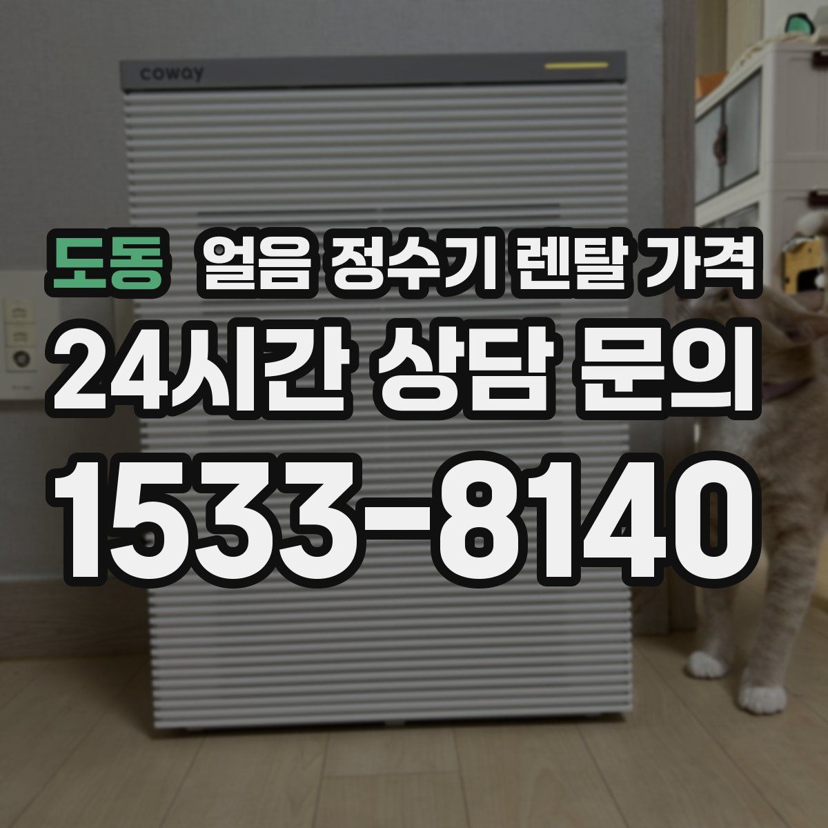 도동 얼음 정수기 렌탈 가격