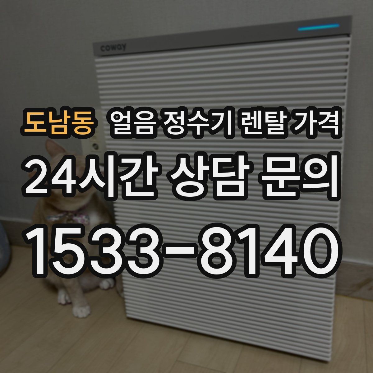 도남동 얼음 정수기 렌탈 가격 월 요금이 다른 이유 쉽게 정리