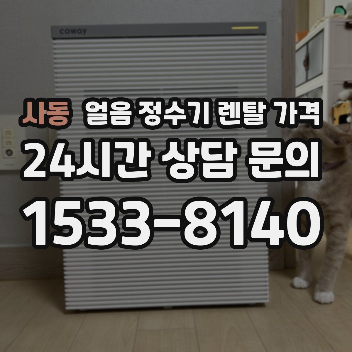 사동 얼음 정수기 렌탈 가격