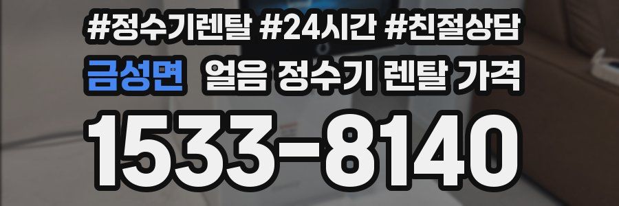 금성면 얼음 정수기 렌탈 가격