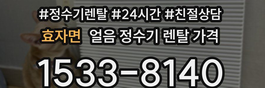 효자면 얼음 정수기 렌탈 가격