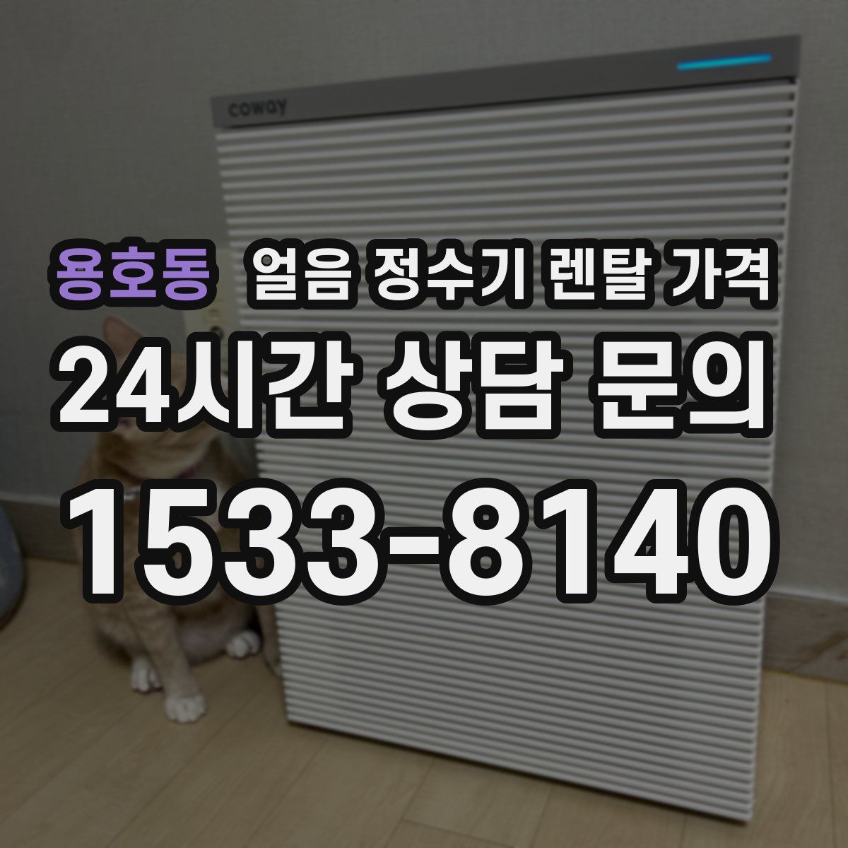 용호동 얼음 정수기 렌탈 가격