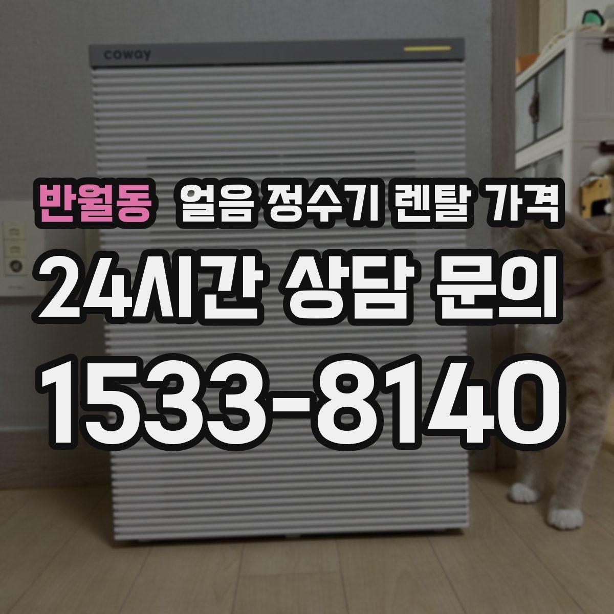 반월동 얼음 정수기 렌탈 가격 관리 서비스 범위 비교 포인트