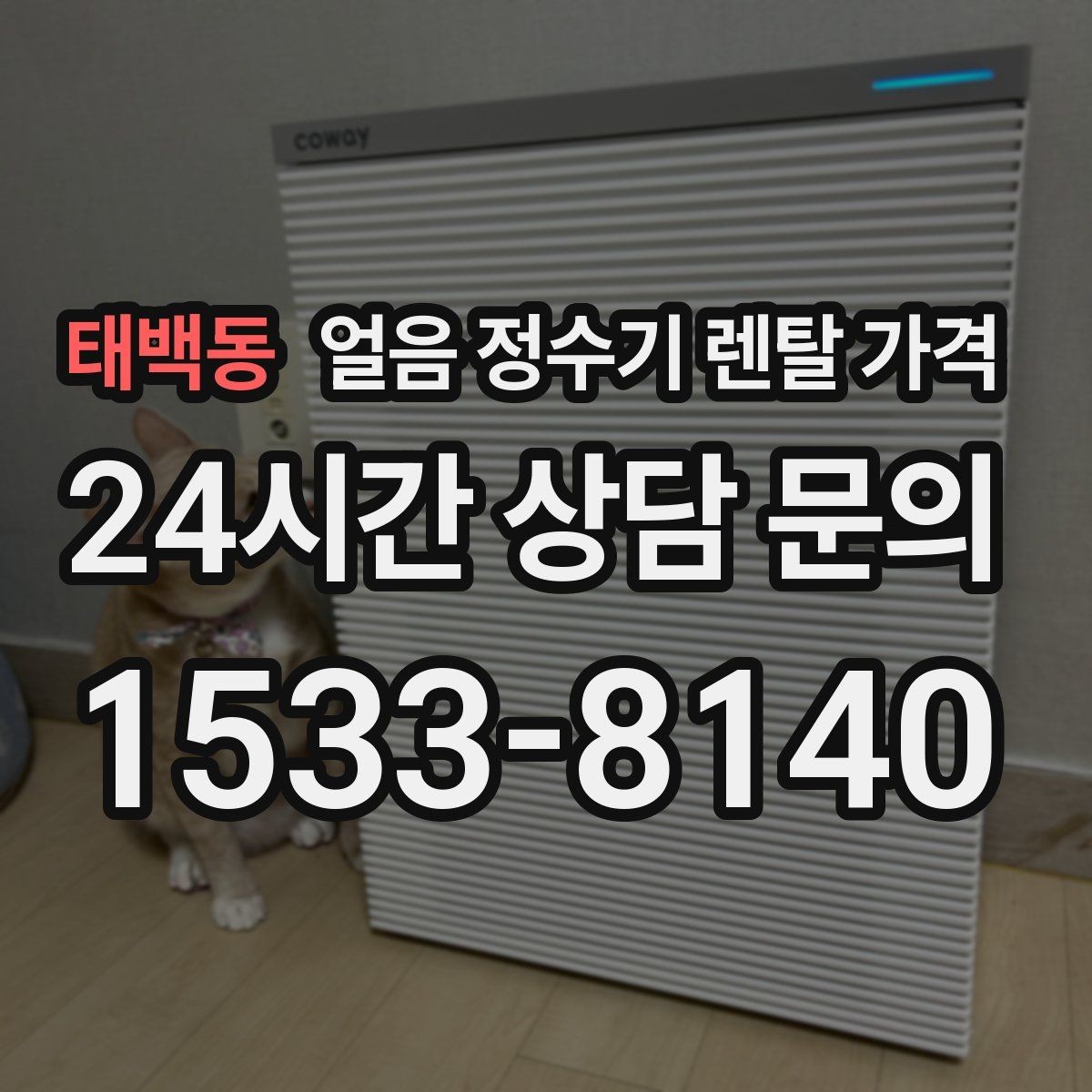 태백동 얼음 정수기 렌탈 가격 카드 없이 비교해야 하는 이유