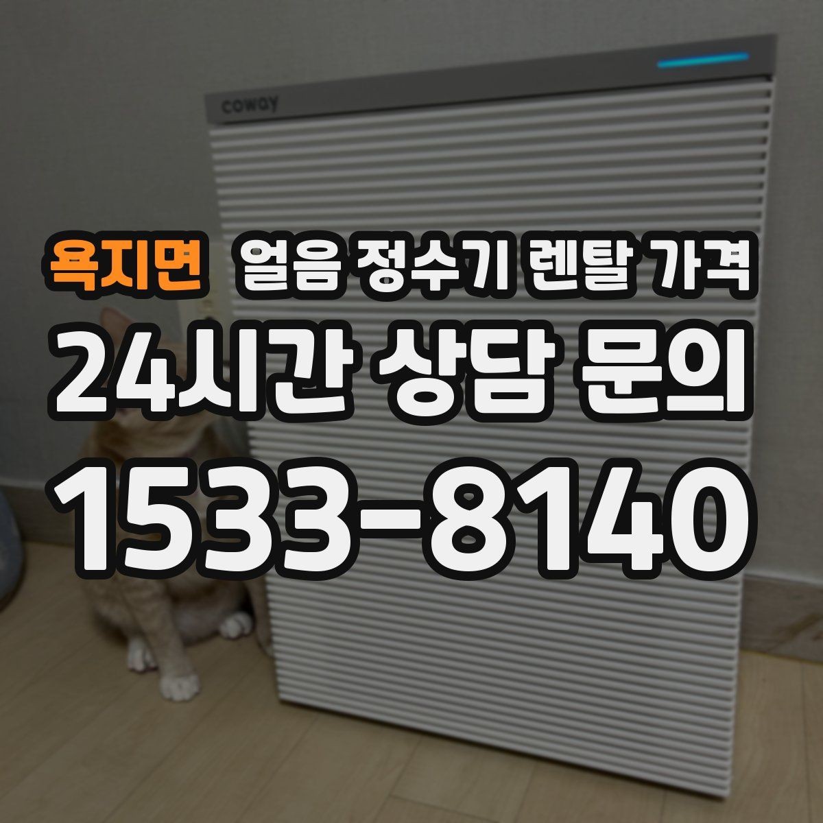 욕지면 얼음 정수기 렌탈 가격 셀프 관리가 적합한 사람은 누구일까