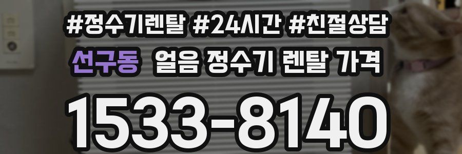 선구동 얼음 정수기 렌탈 가격