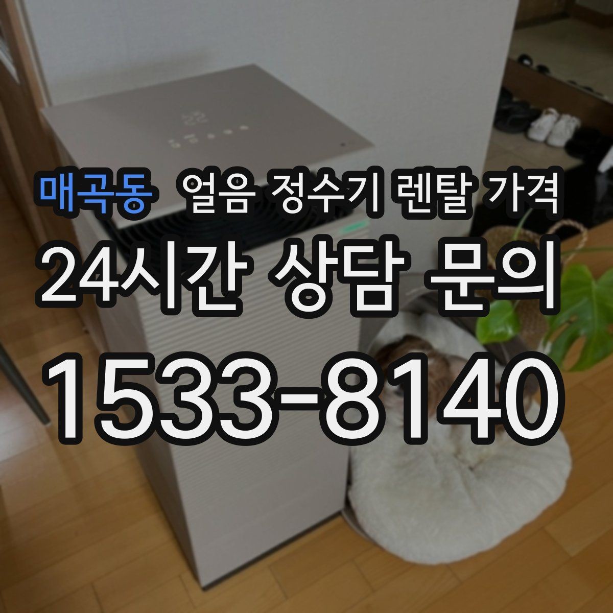 매곡동 얼음 정수기 렌탈 가격 관리 편의성이 중요한 이유