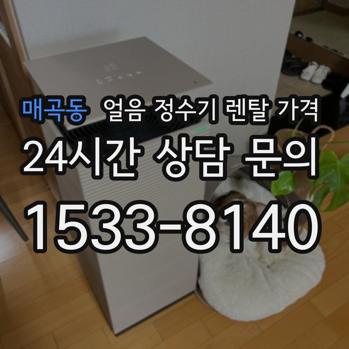 매곡동 얼음 정수기 렌탈 가격