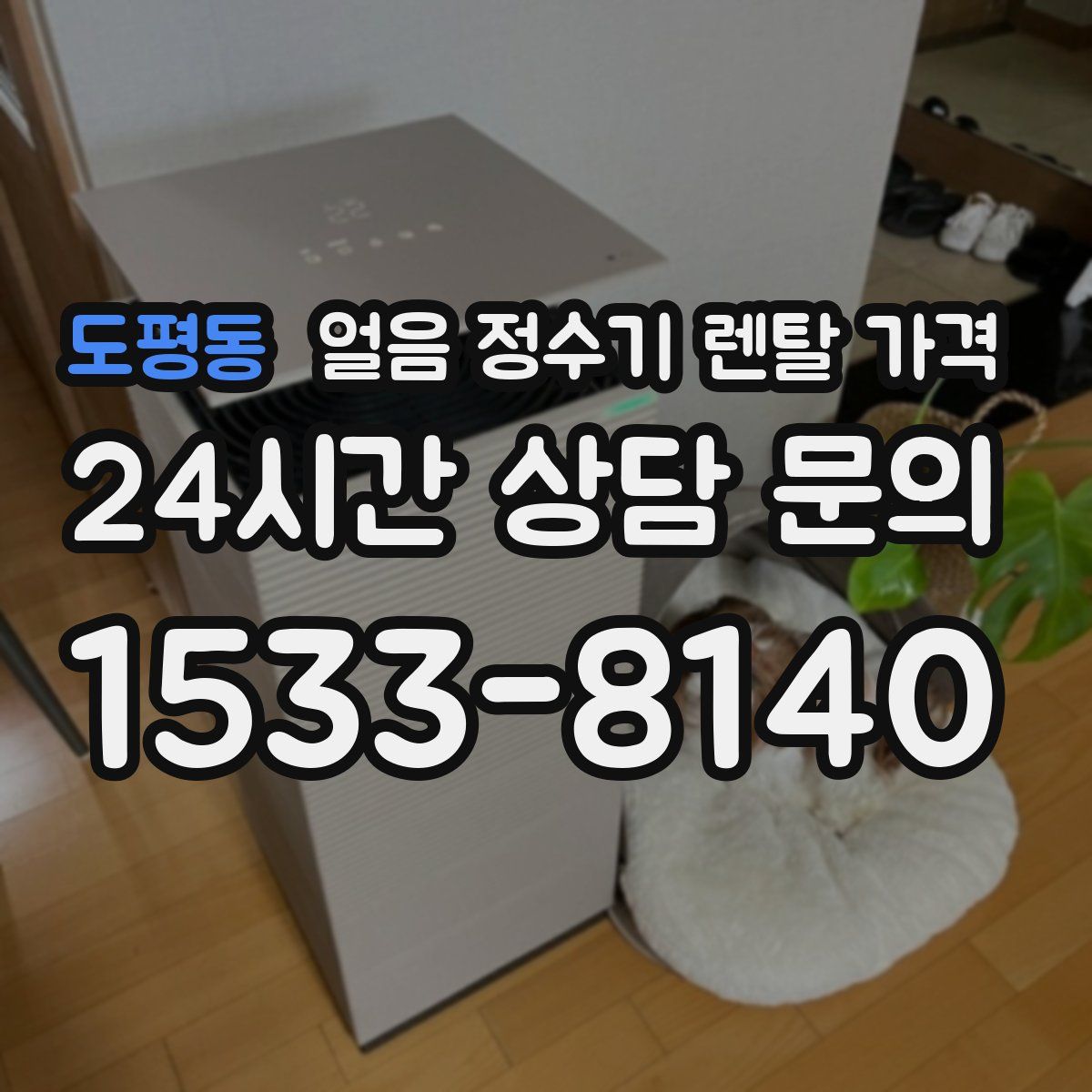 도평동 얼음 정수기 렌탈 가격