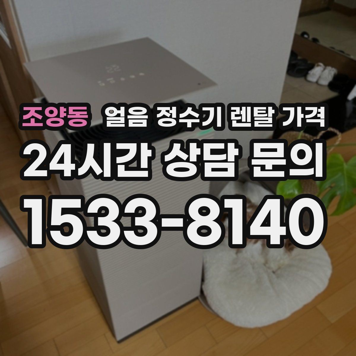 조양동 얼음 정수기 렌탈 가격 얼음 사용량으로 선택 기준 정리