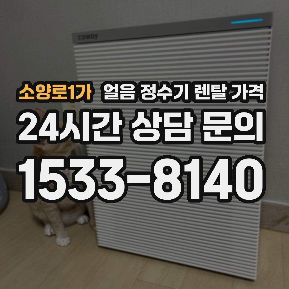 소양로1가 얼음 정수기 렌탈 가격