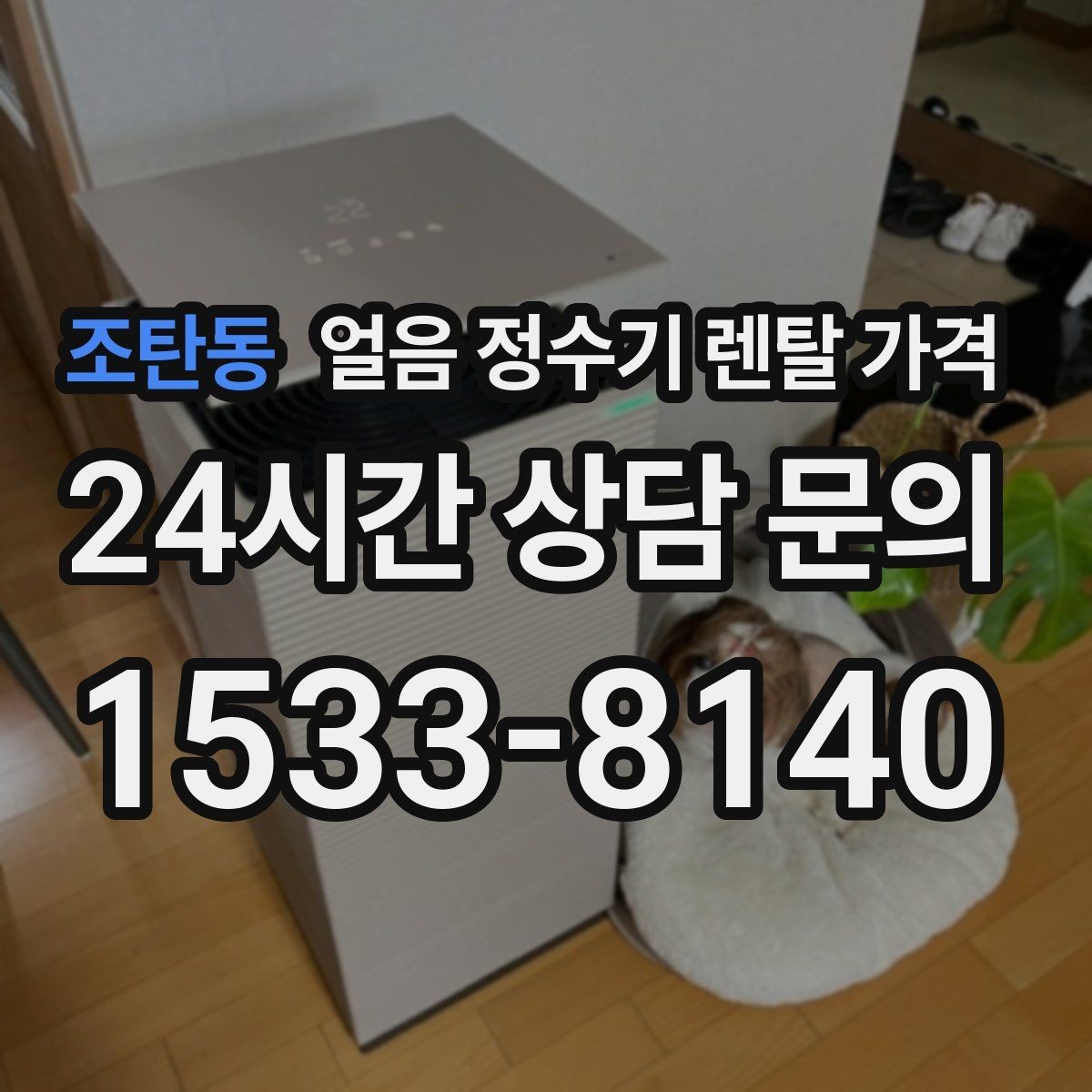 조탄동 얼음 정수기 렌탈 가격 실속형 제품 고르는 방법