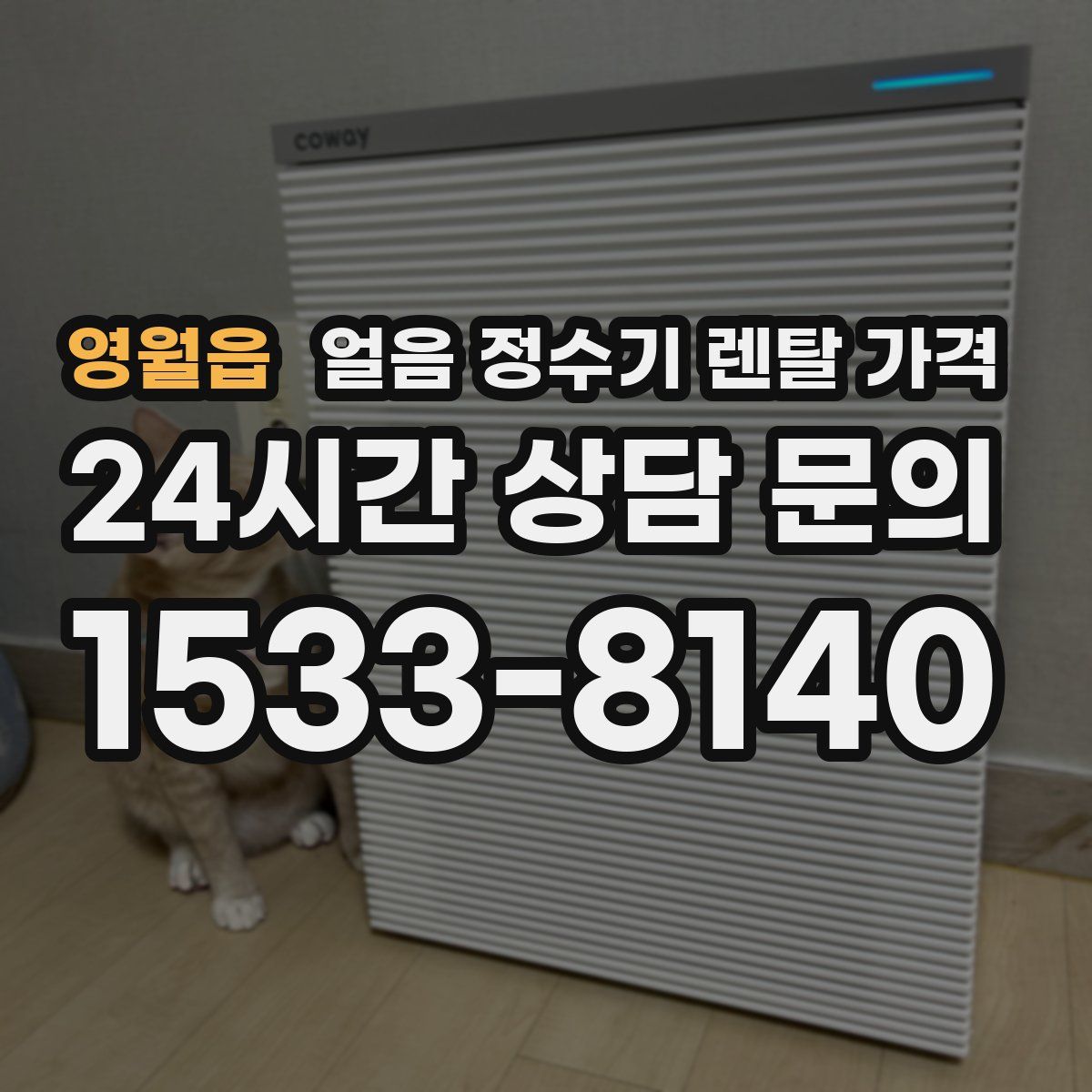 영월읍 얼음 정수기 렌탈 가격