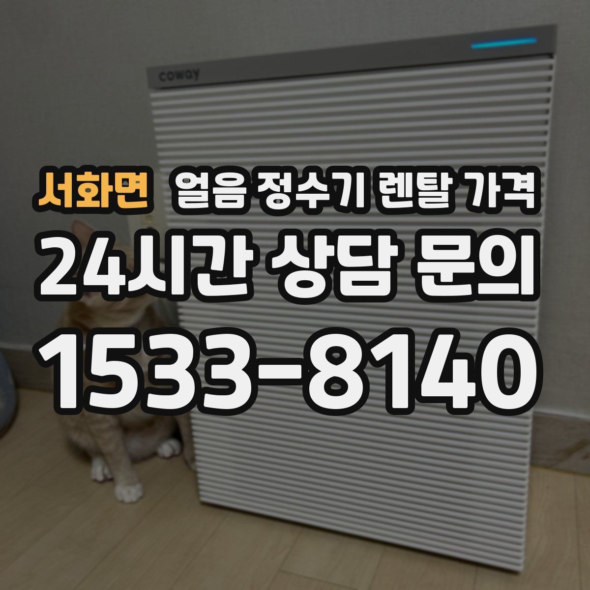 서화면 얼음 정수기 렌탈 가격 월 요금이 다른 이유 쉽게 정리