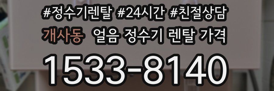 개사동 얼음 정수기 렌탈 가격