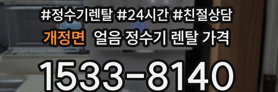 개정면 얼음 정수기 렌탈 가격