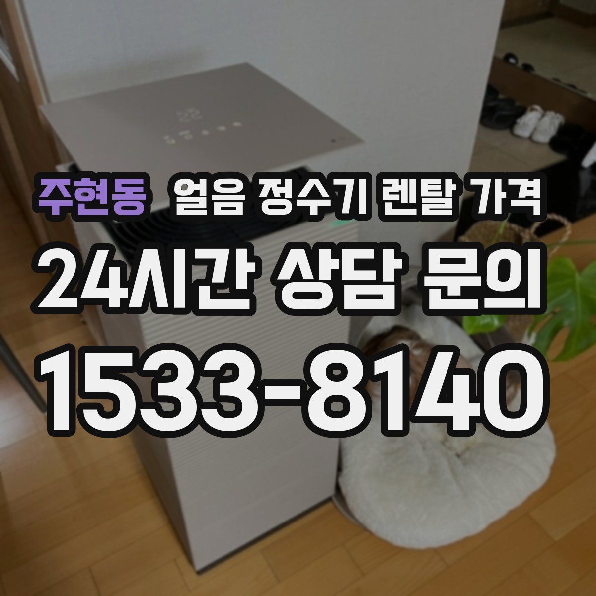 주현동 얼음 정수기 렌탈 가격