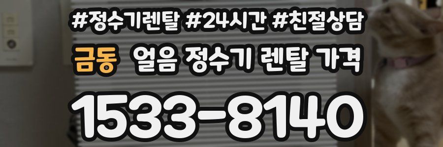 금동 얼음 정수기 렌탈 가격