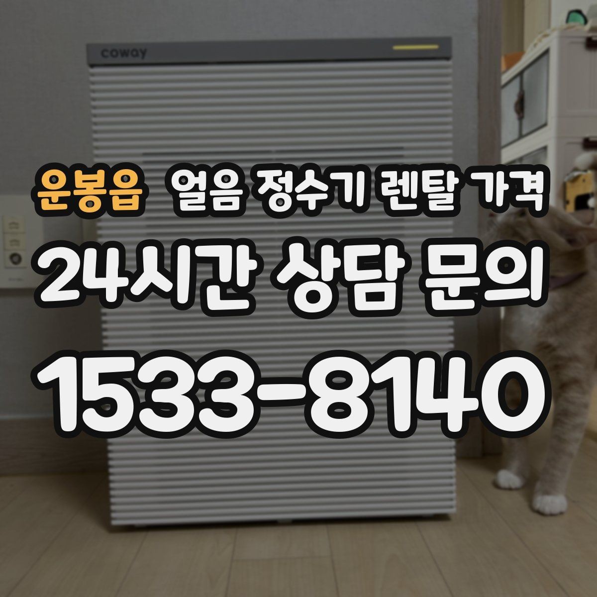 운봉읍 얼음 정수기 렌탈 가격 생활 패턴에 맞춰 고르는 방법