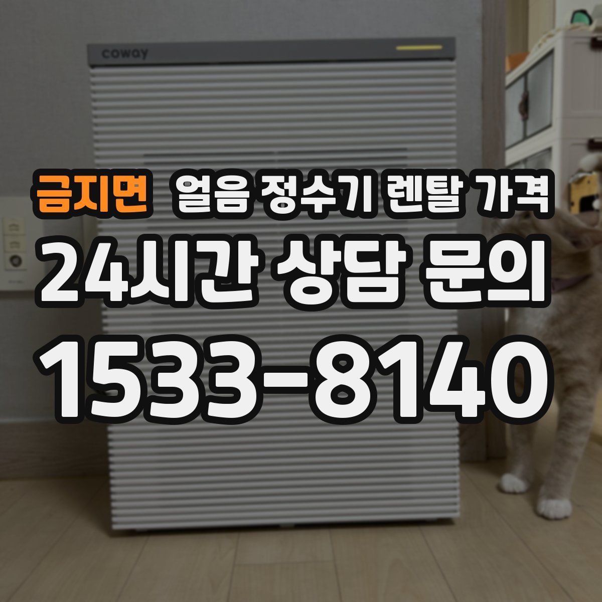 금지면 얼음 정수기 렌탈 가격