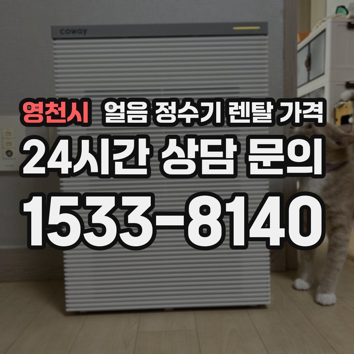 영천시 얼음 정수기 렌탈 가격