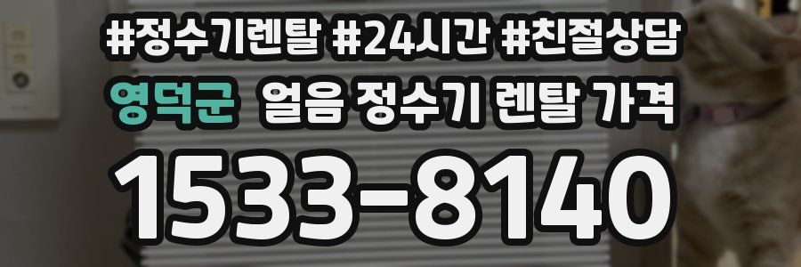 영덕군 얼음 정수기 렌탈 가격