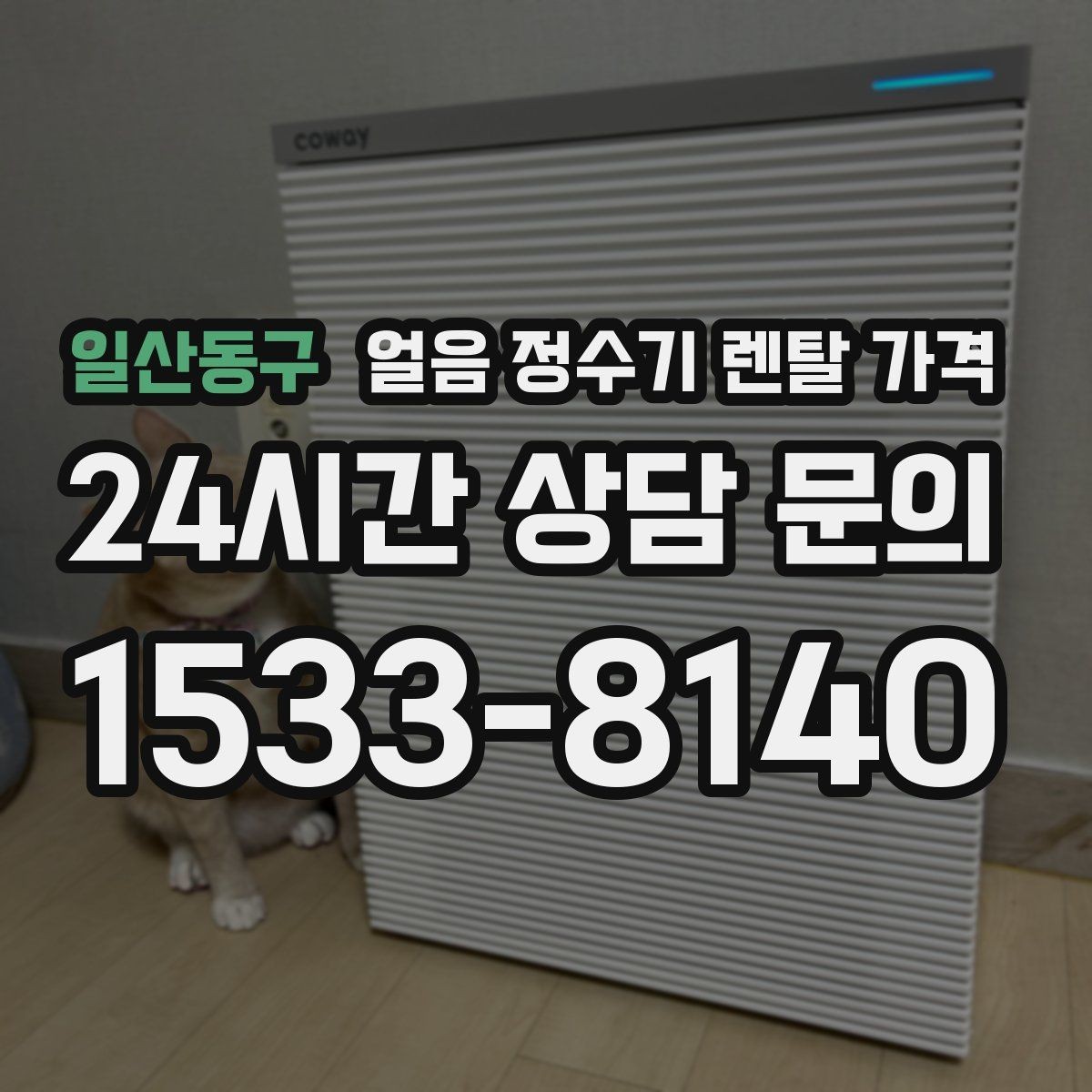 일산동구 얼음 정수기 렌탈 가격 관리 서비스 범위 비교 포인트