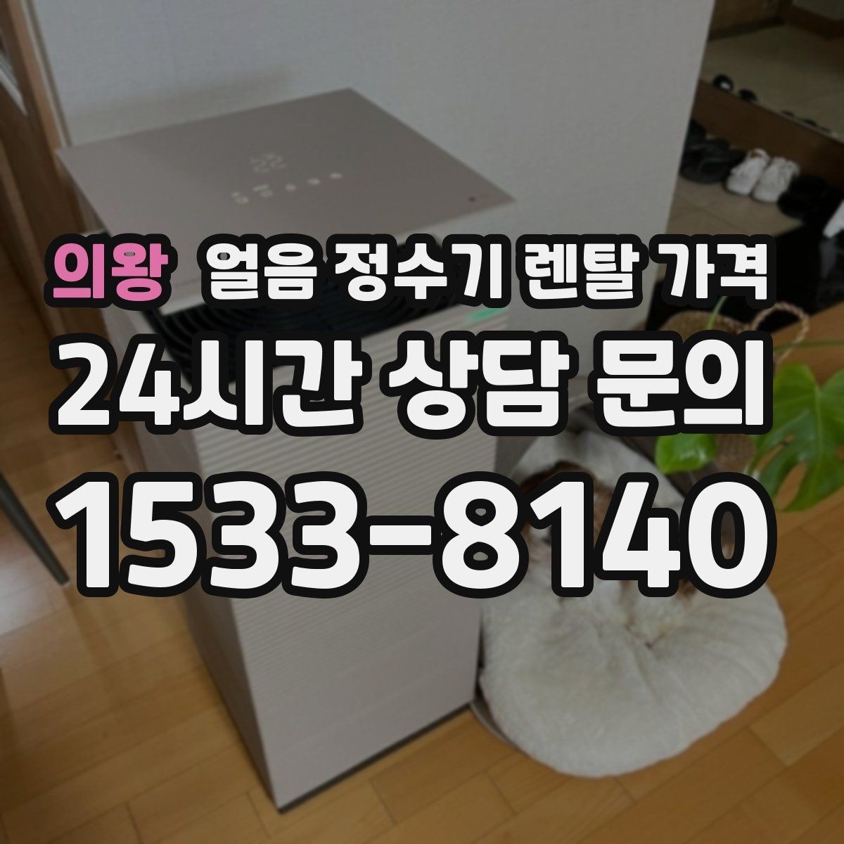 의왕 얼음 정수기 렌탈 가격 실제 사용자 경험 기준 정리