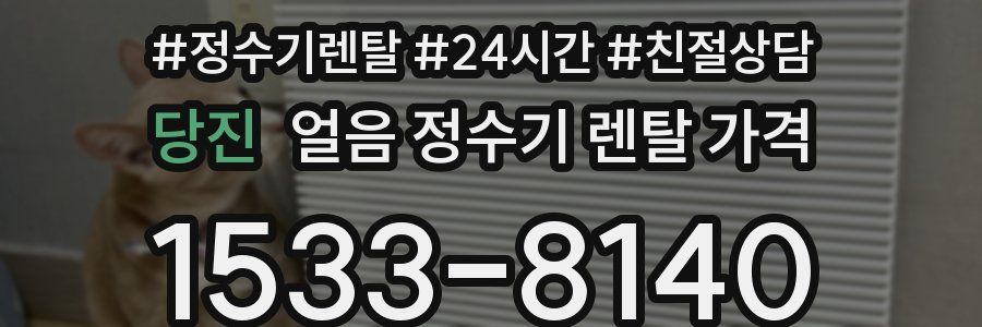 당진 얼음 정수기 렌탈 가격